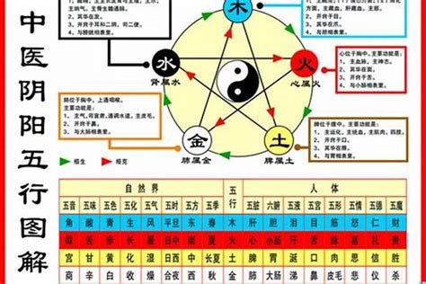 84属什么|1984出生属什么生肖查询，1984多大年龄，1984今年几岁